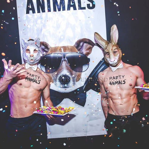 Candyboys met dierenmaskers naakte butler huren voor halloween feest